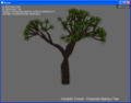 Thumbnail for version as of 00:28, 6 March 2008
