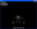 Thumbnail for version as of 00:38, 6 March 2008